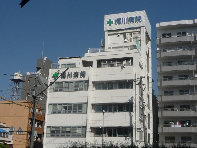 Hospital. 531m until the medical corporation MidoriKiyoshikai Kajikawa hospital (hospital)