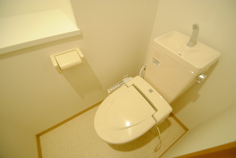Toilet. It is a toilet with a shelf