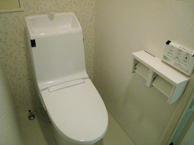 Toilet. Toilet is a high-function type with a variety of functions.