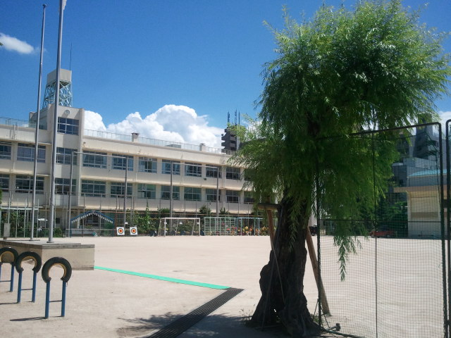 Primary school. Funeiri up to elementary school (elementary school) 576m