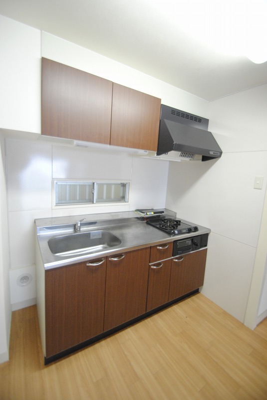 Kitchen. There is also a two-burner gas stove with grill