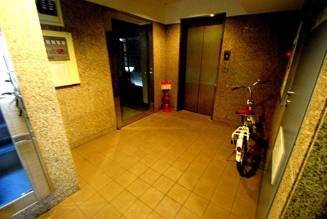 Entrance. Elevator hall