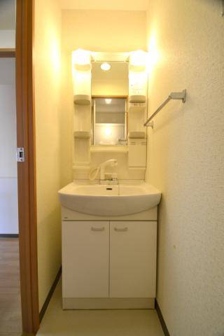 Washroom. Shampoo dresser