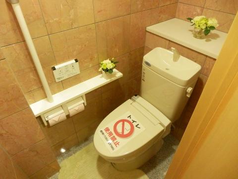 Toilet. WC