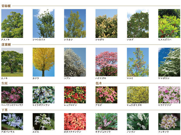 Shared facilities.  [Planting design] 30 or more planting to draw the beauty of the four seasons will color every day throughout the year.  ※ Planting is of the planning stage, There are cases where tree species or the like is to change. (An example of planting)