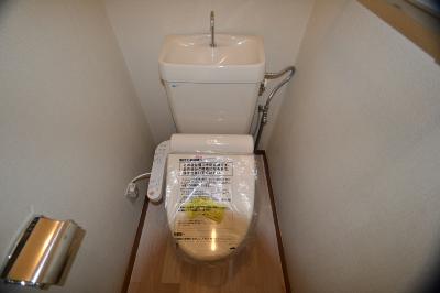Toilet. I think you come in handy in addition to the bidet?