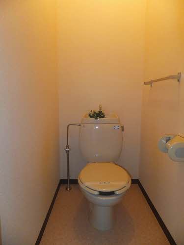 Toilet. 206, Room