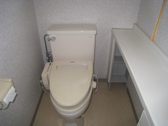 Toilet. Bidet