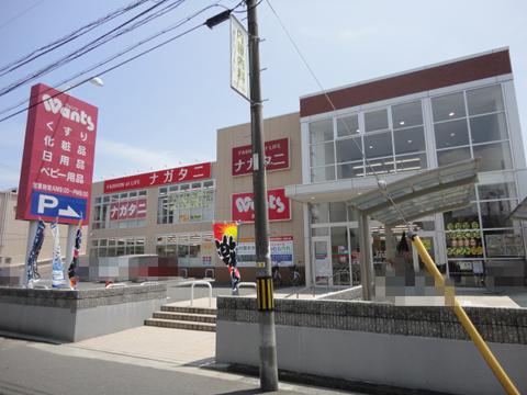 Drug store. Wants Until Kougo shop 702m