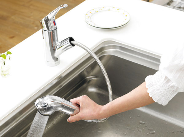 Kitchen. Water purifier function with hand shower faucet