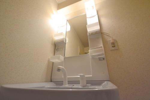 Washroom. Shampoo dresser