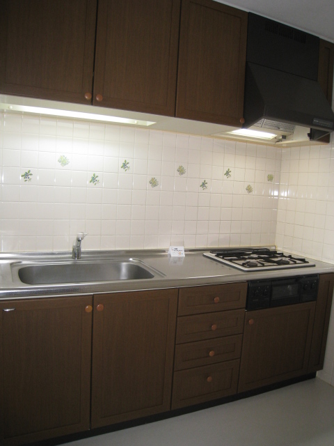 Kitchen. System kitchen