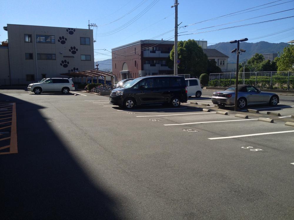 Parking lot. Common areas