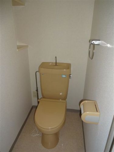 Toilet. Toilet