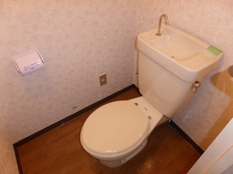 Toilet. Toilet