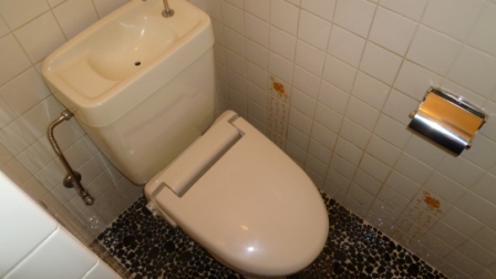 Toilet