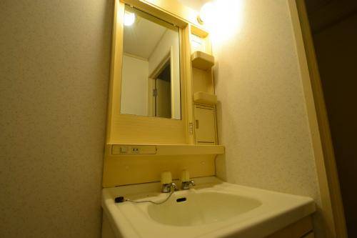 Washroom. Bathroom vanity