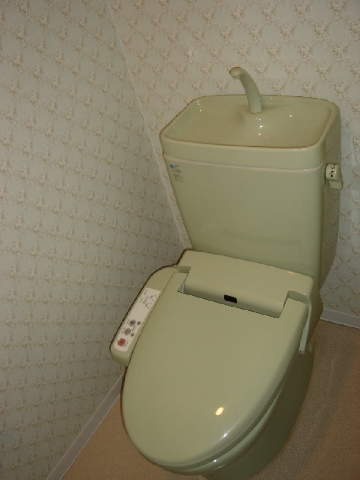 Toilet. Reference photograph