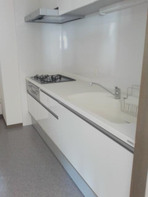 Same specifications photo (kitchen). Bright colors of the system kitchen, It is settled new goods exchange