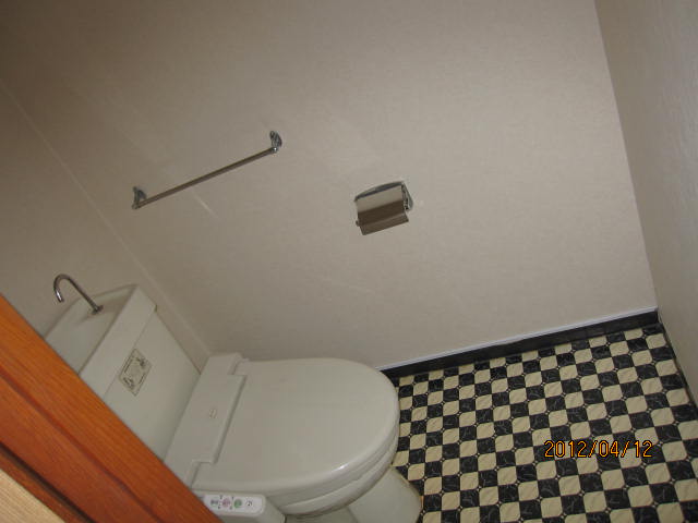 Toilet. CF of the pattern is different