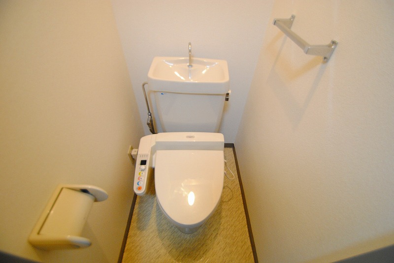 Toilet. Hot-water heating toilet seat