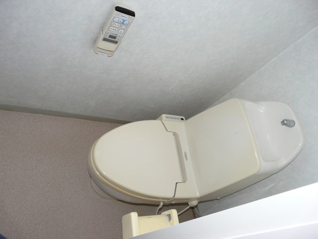 Toilet. With cleaning function