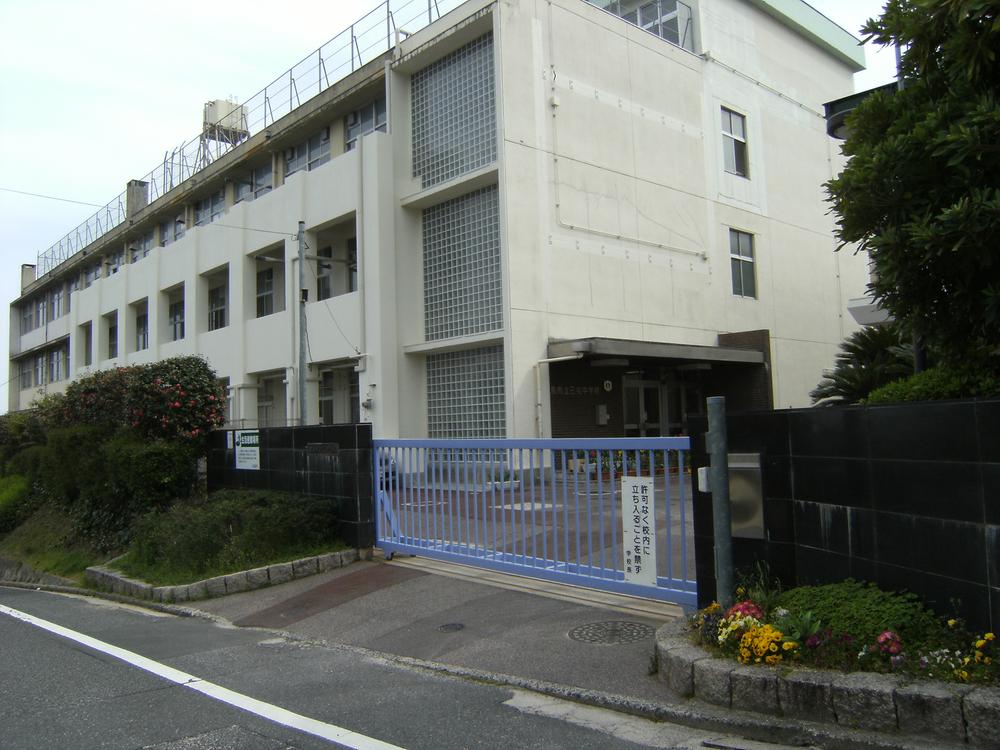 Other. Koinaka school