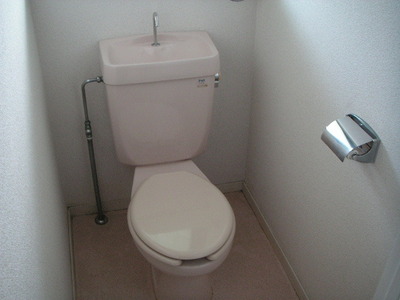 Toilet. Toilet