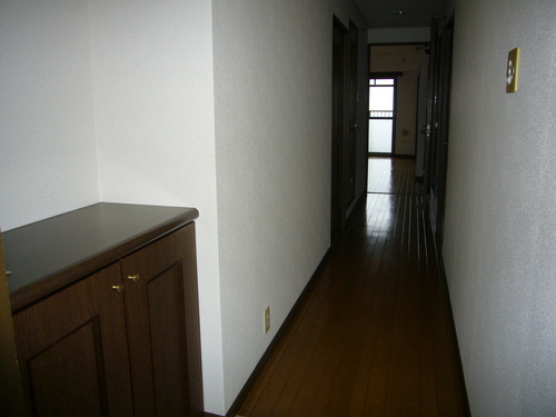 Other room space. Entrance hallway