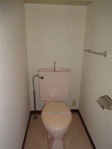 Toilet. Toilet