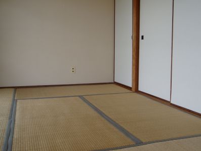 Other room space. Japanese style room