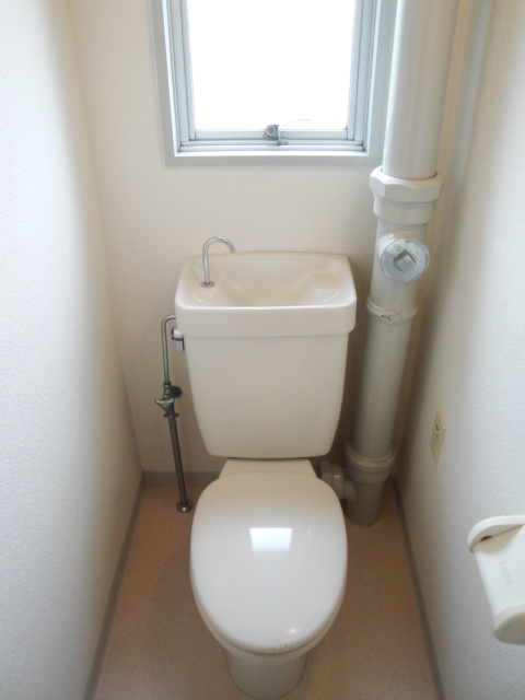 Toilet. It is bright with even windows in toilet