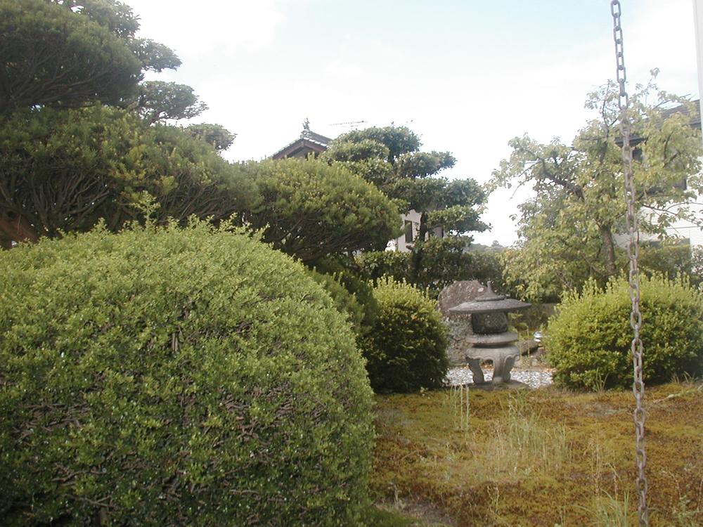 Garden. Japanese garden