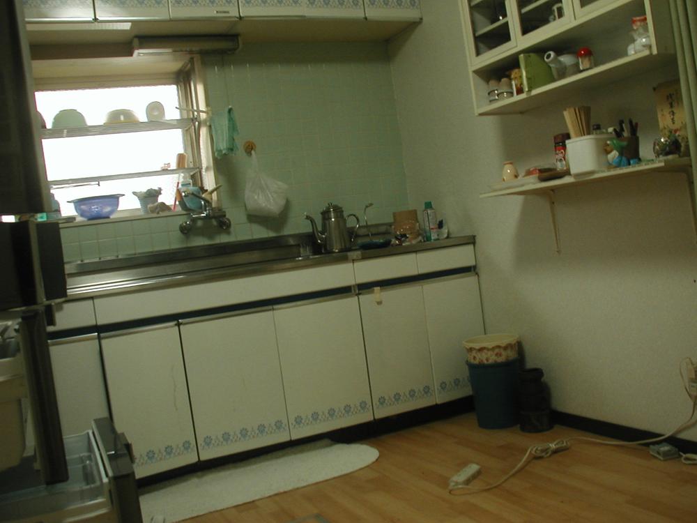 Kitchen. Sink