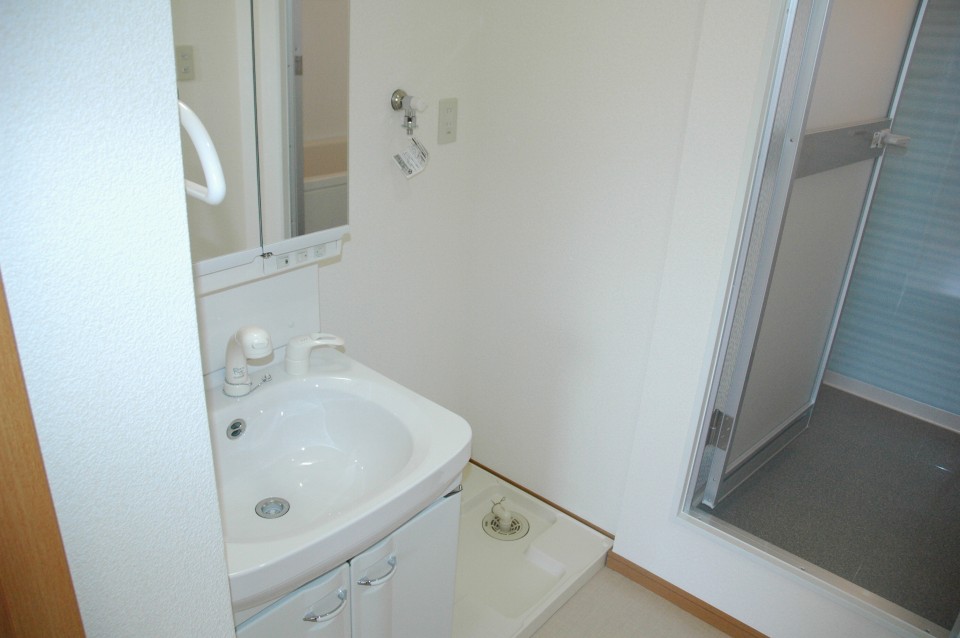 Washroom. Wash basin with shampoo dresser.