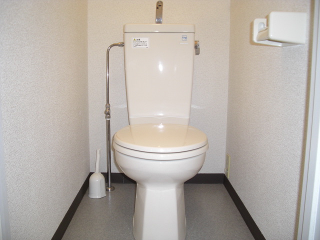 Toilet. Western-style toilet