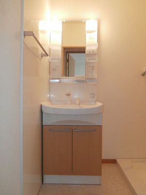 Washroom. Bathroom Vanity