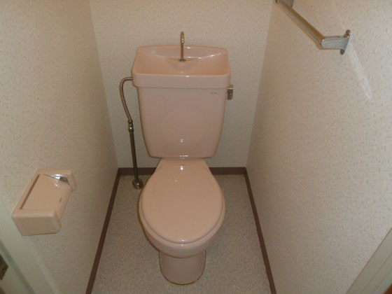 Toilet