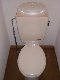 Toilet. Toilet