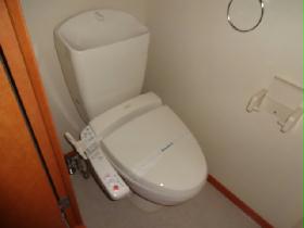 Toilet. Warm water washing toilet seat