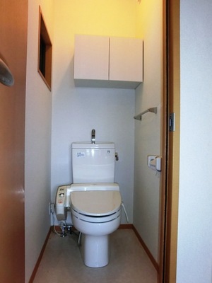 Toilet. bathroom / Warm water washing toilet seat