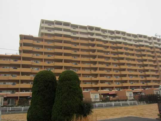 Local appearance photo. Condominium panoramic view from the south side.