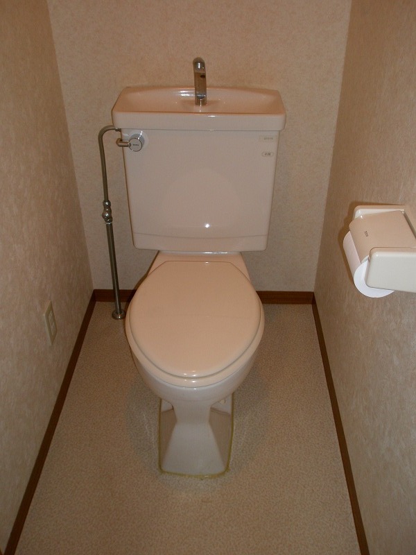 Other. Toilet