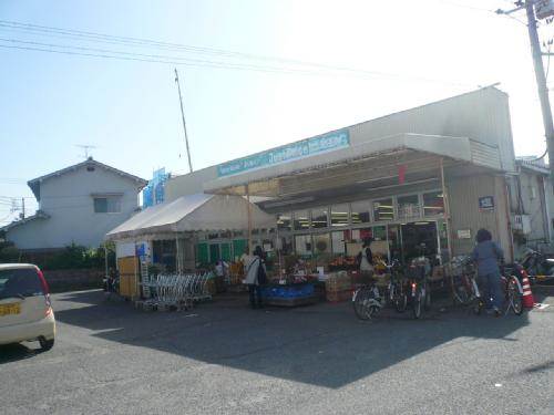 Supermarket. 547m until Marche over Sagata store (Super)