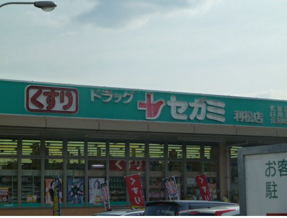 Dorakkusutoa. Segami Toshimatsu shop 627m until (drugstore)