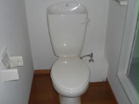 Toilet. Toilet