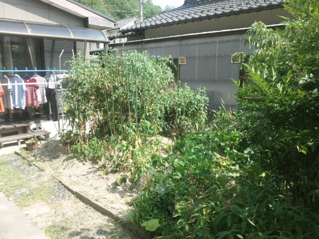 Garden. The south side of the garden has a good day, Line of sight from the road is not worried. It is ideal as a home garden and laundry facilities.