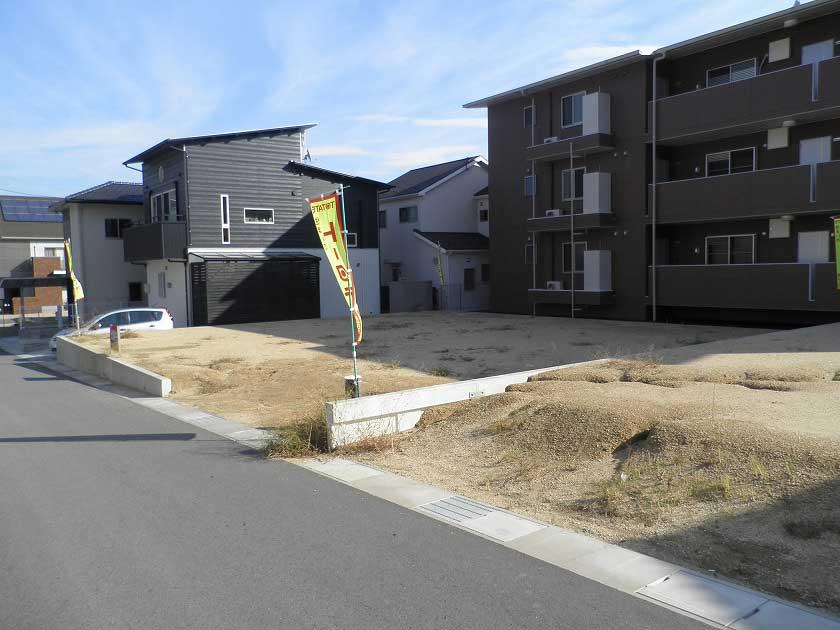 Local photos, including front road