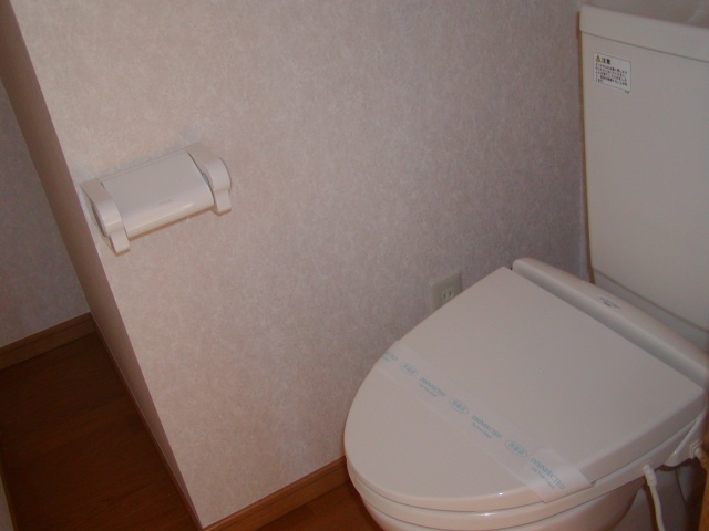 Toilet. Water around has also been repaired to clean!