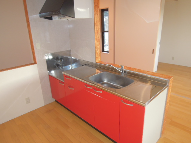 Kitchen. Stylish orange kitchen ☆